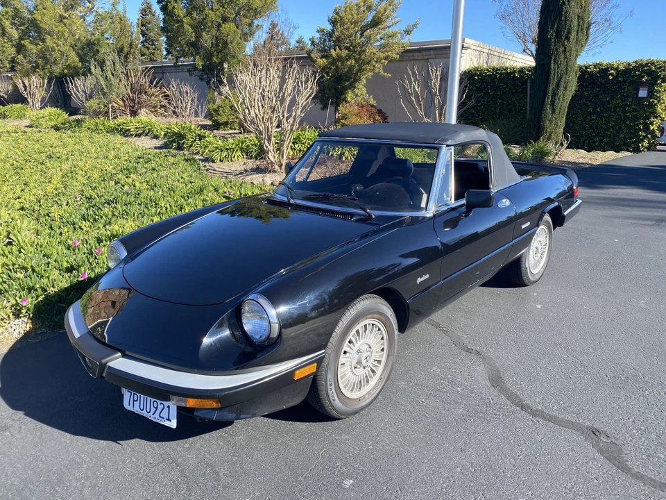 1989 Alfa Romeo Series 3 - Image 3 of 31