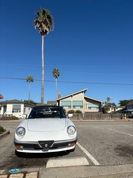 1989 Alfa Romeo Series 3 - Image 18 of 31