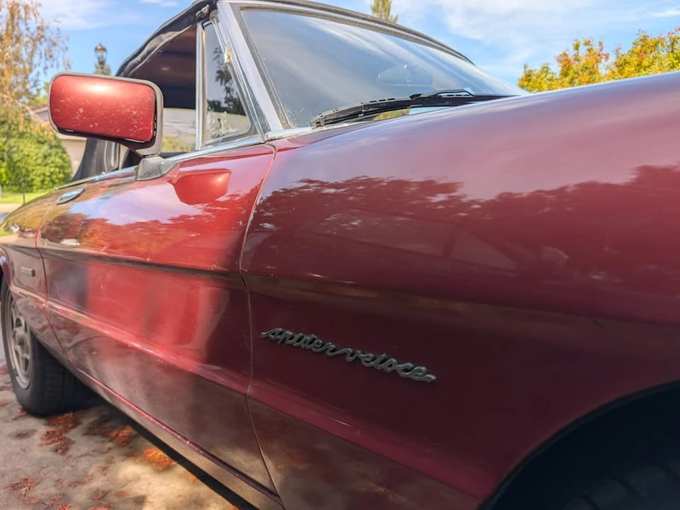 1989 Alfa Romeo Series 3 - Image 19 of 19