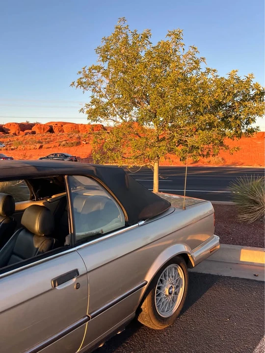 1989 BMW E30 3 Series - Image 6 of 7