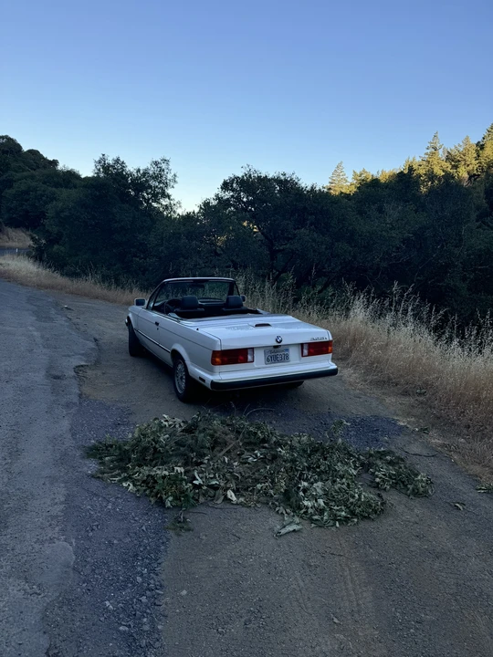 1989 BMW E30 3 Series - Image 24 of 31
