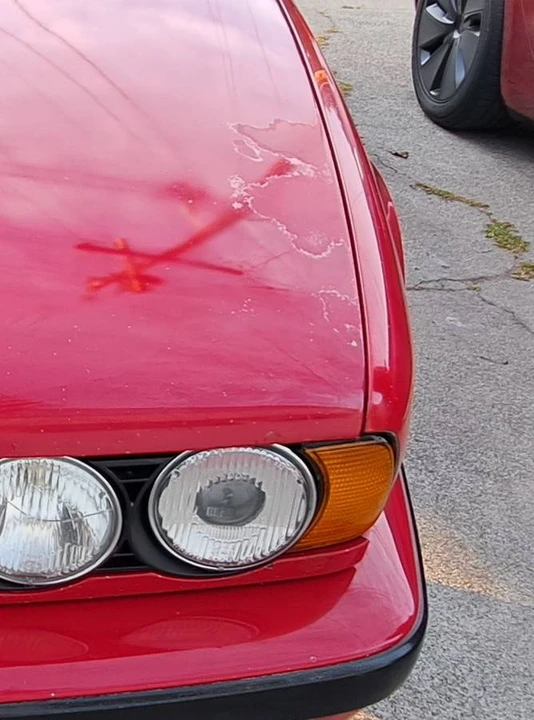 1989 BMW E34 5 Series - Image 12 of 14