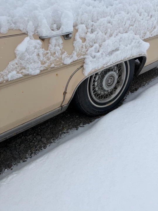 1989 Cadillac Brougham - Image 3 of 13