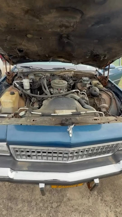 1989 Chevrolet Caprice - Image 11 of 11