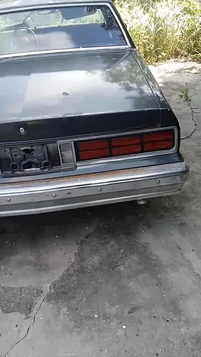 1989 Chevrolet Caprice - Image 5 of 5