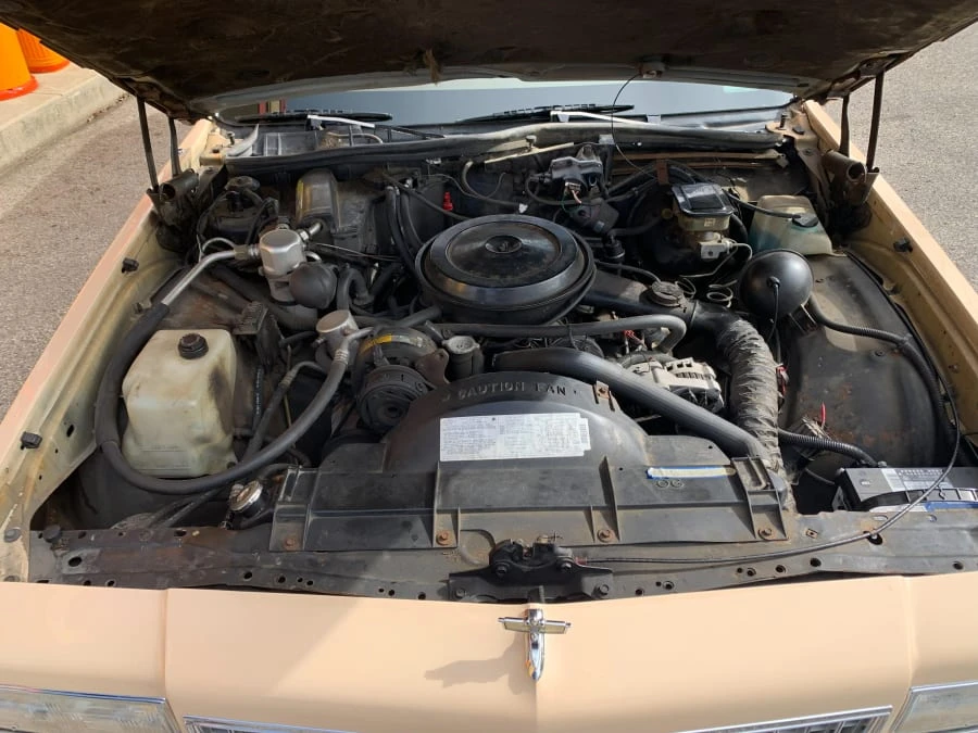 1989 Chevrolet Caprice - Image 10 of 14