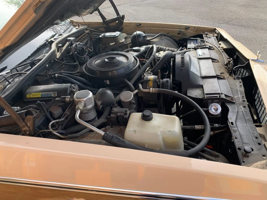 1989 Chevrolet Caprice - Image 11 of 14