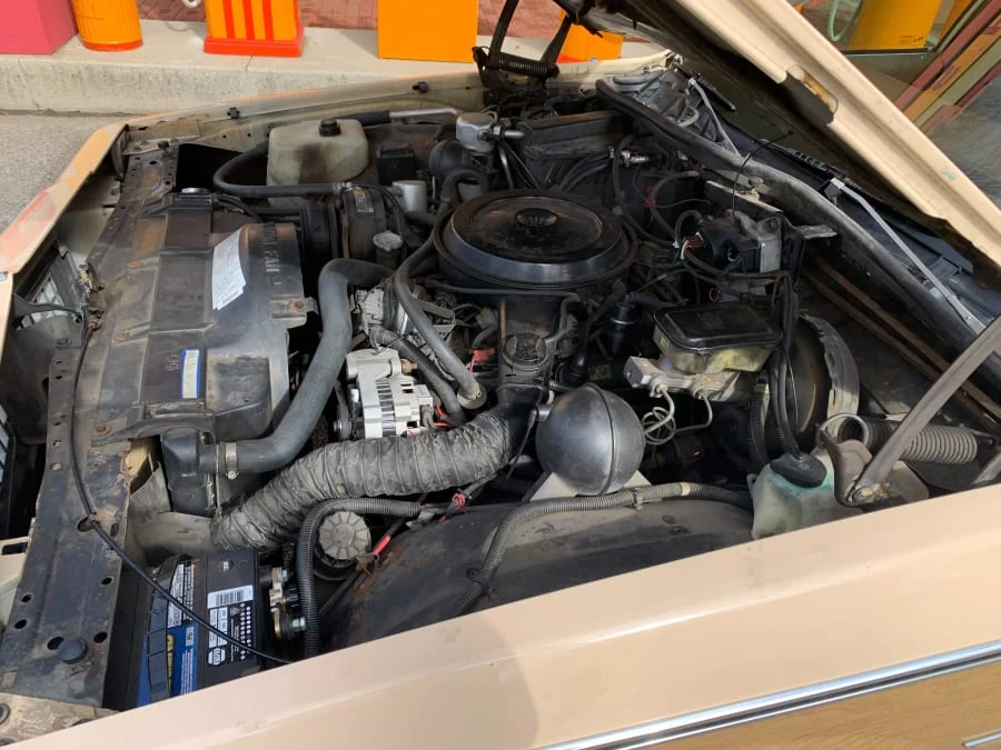 1989 Chevrolet Caprice - Image 12 of 14