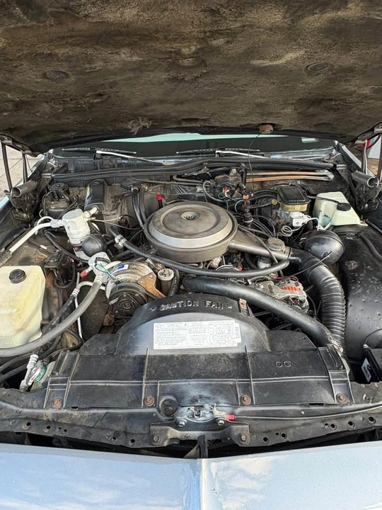 1989 Chevrolet Caprice - Image 10 of 10