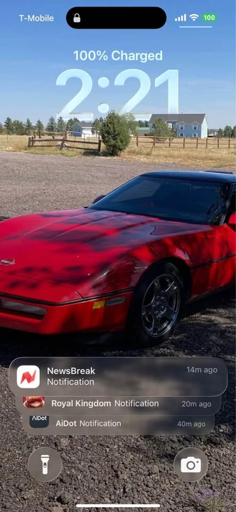 1989 Chevrolet Corvette C4 - Image 3 of 4