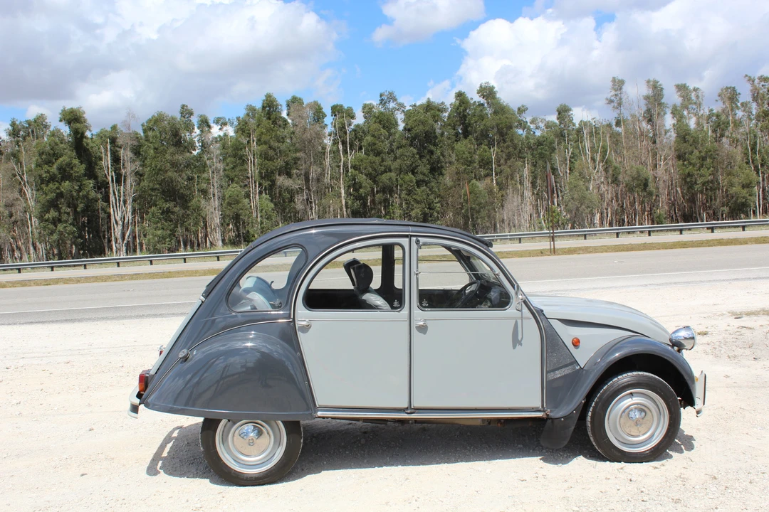 1989 Citroen 2CV - Image 19 of 31