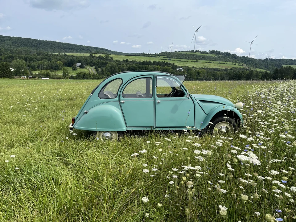 1989 Citroen 2CV - Image 14 of 31