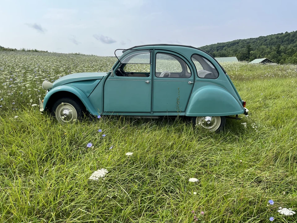 1989 Citroen 2CV - Image 5 of 31