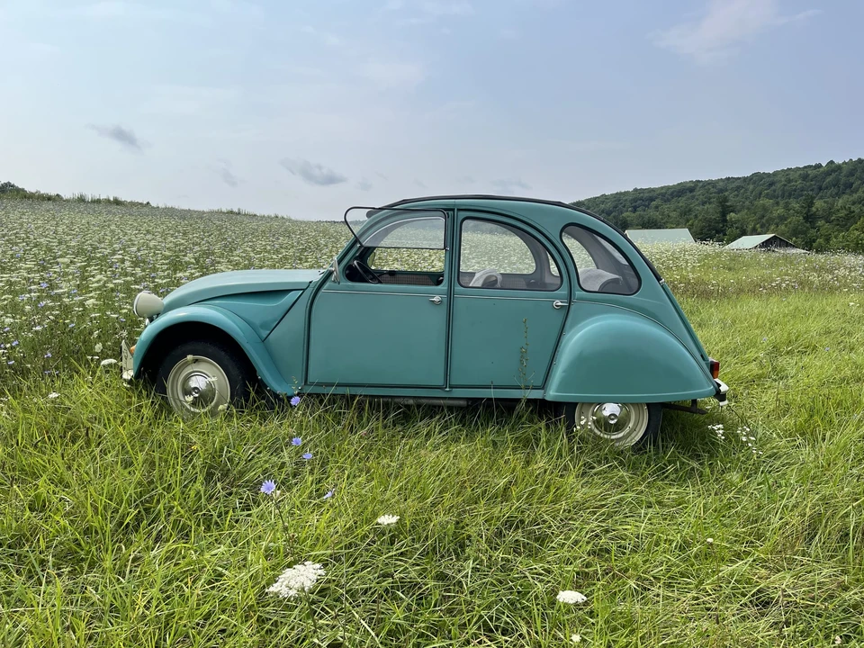 1989 Citroen 2CV - Image 4 of 31
