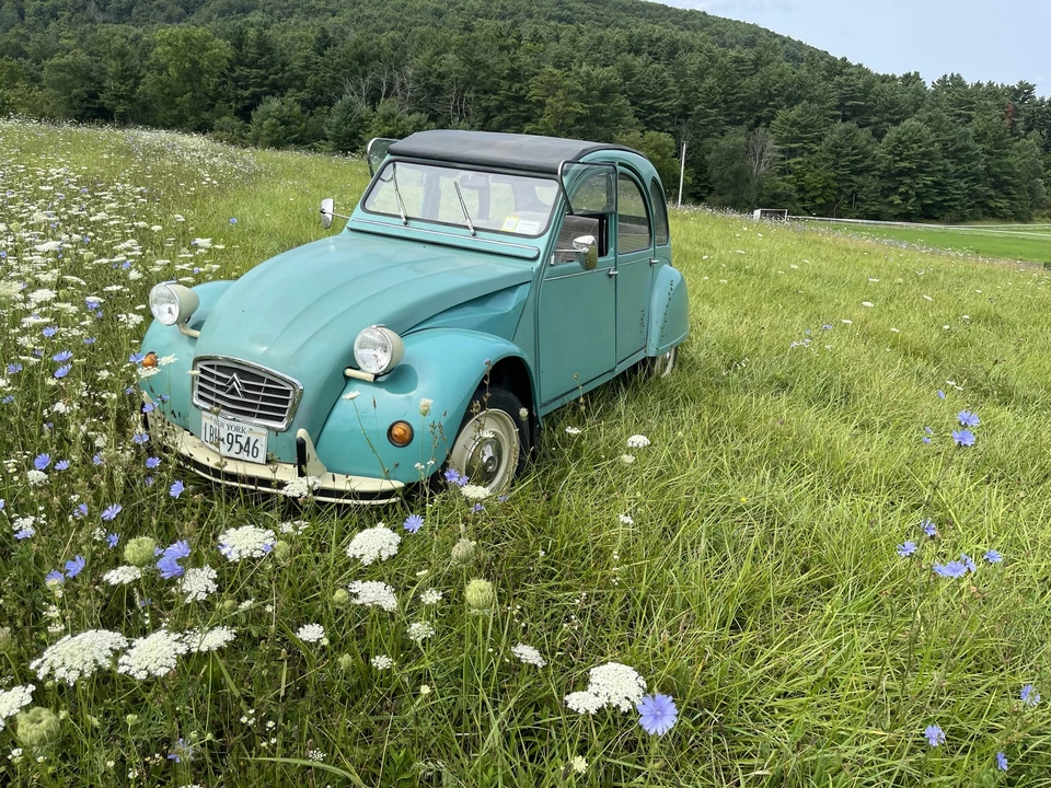 1989 Citroen 2CV - Image 2 of 31
