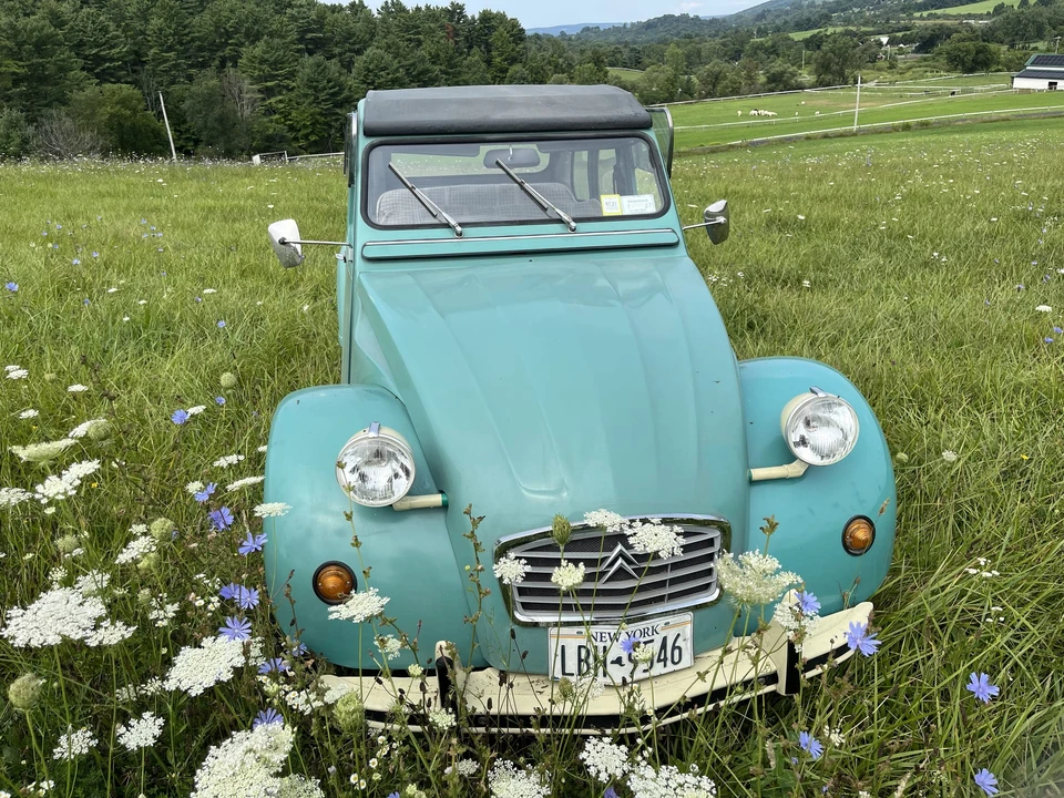 1989 Citroen 2CV - Image 18 of 31