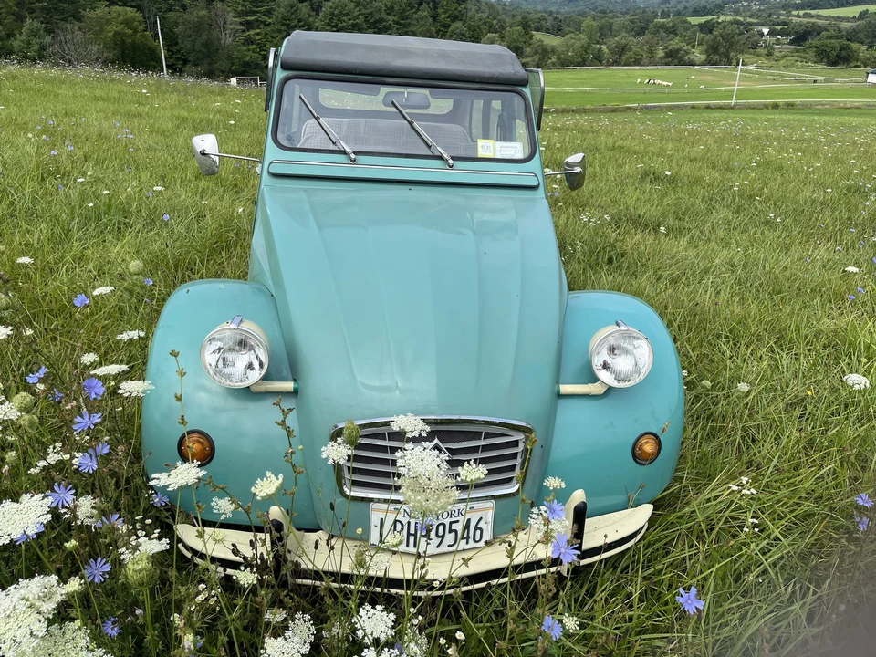 1989 Citroen 2CV - Image 19 of 31