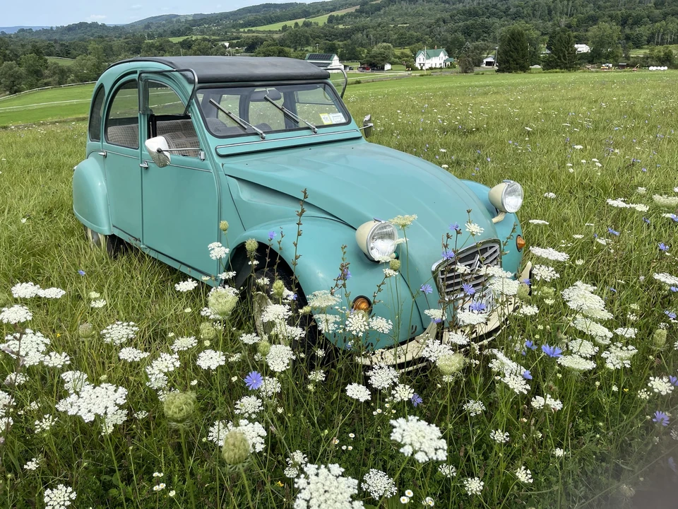 1989 Citroen 2CV - Image 15 of 31