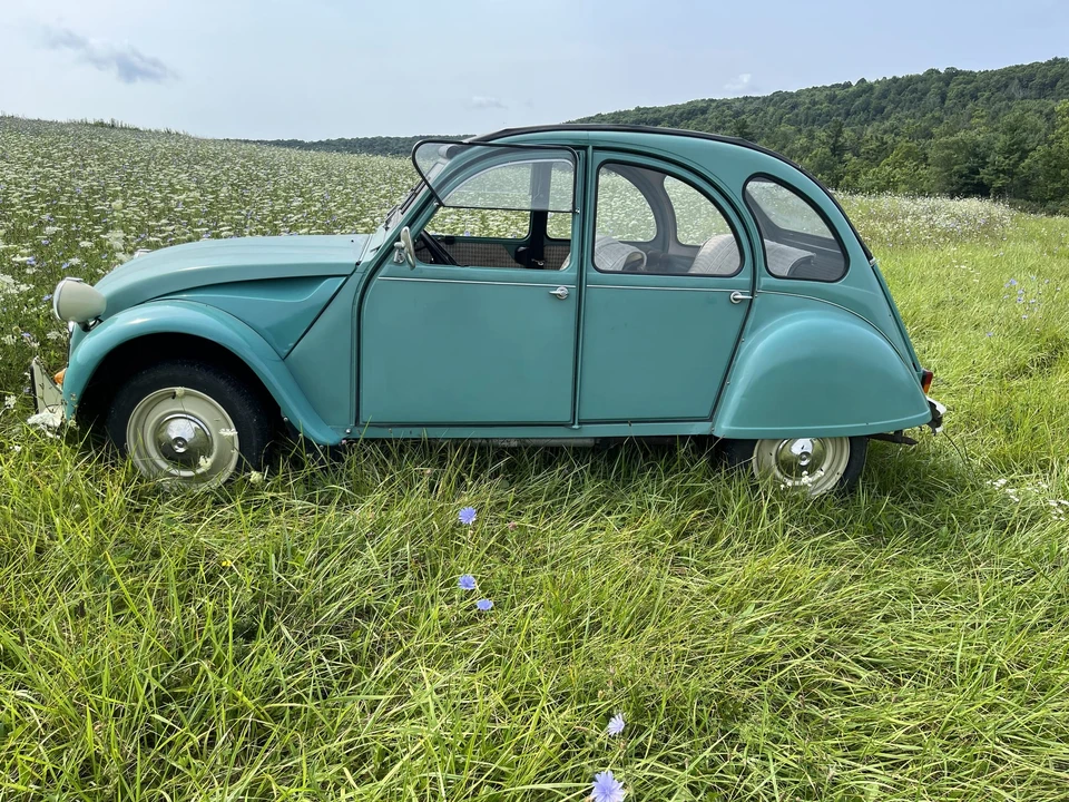 1989 Citroen 2CV - Image 6 of 31