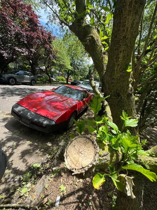 1989 Chevrolet Corvette C4 - Image 5 of 10