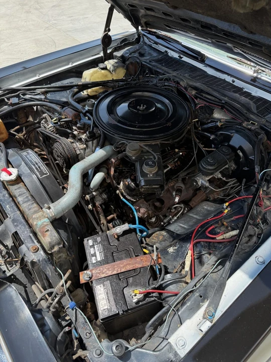 1989 Dodge Diplomat - Image 15 of 17