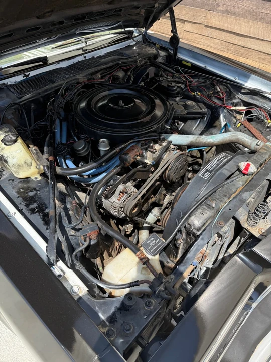 1989 Dodge Diplomat - Image 16 of 17