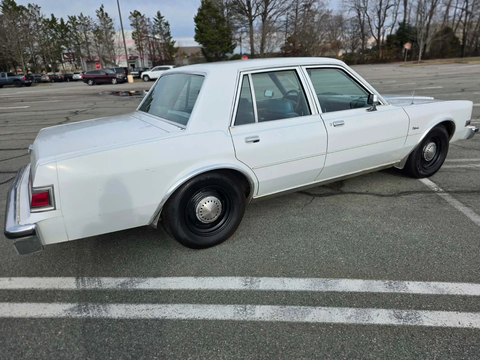 1989 Dodge Diplomat - Image 6 of 21