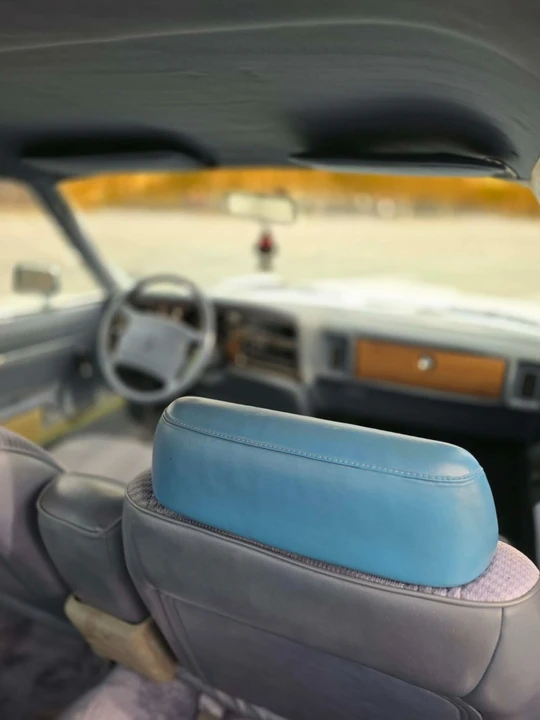 1989 Dodge Diplomat - Image 4 of 21