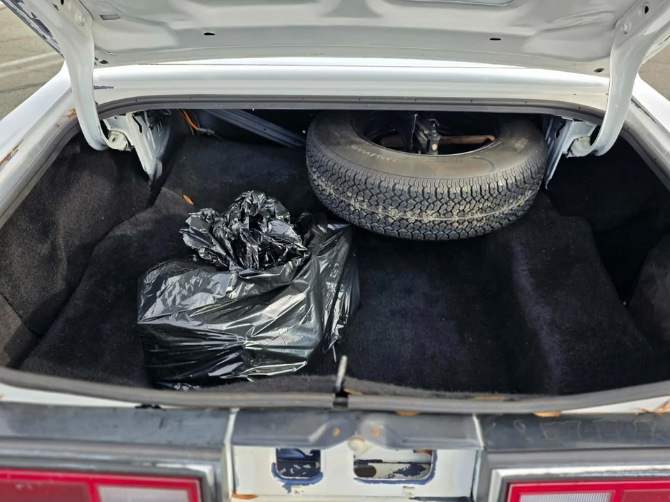 1989 Dodge Diplomat - Image 7 of 21