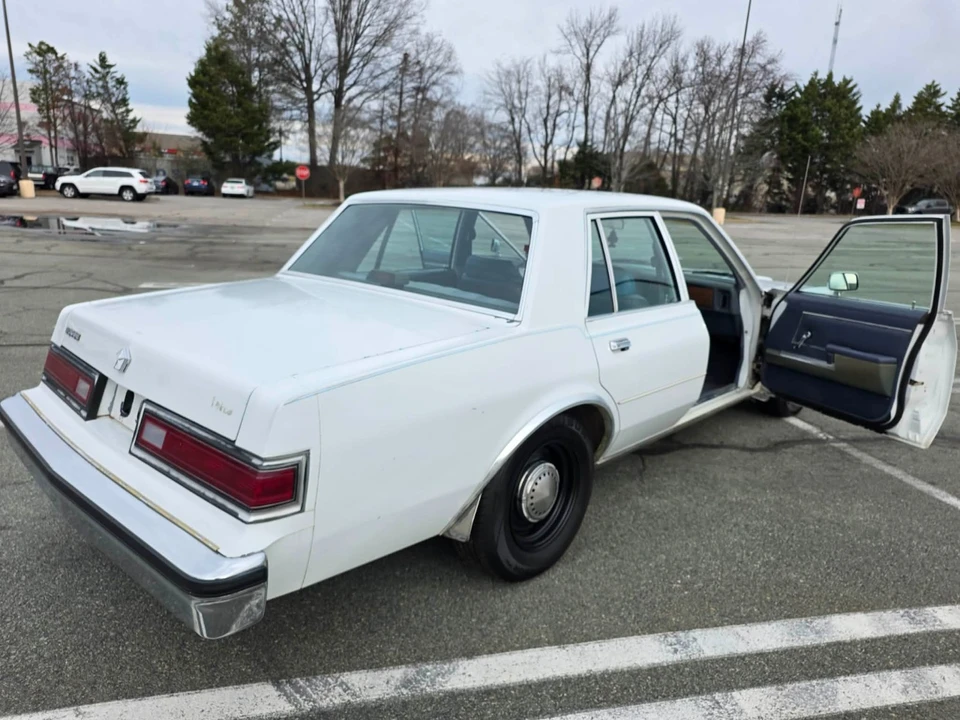 1989 Dodge Diplomat - Image 21 of 21