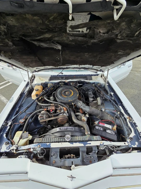 1989 Dodge Diplomat - Image 11 of 21