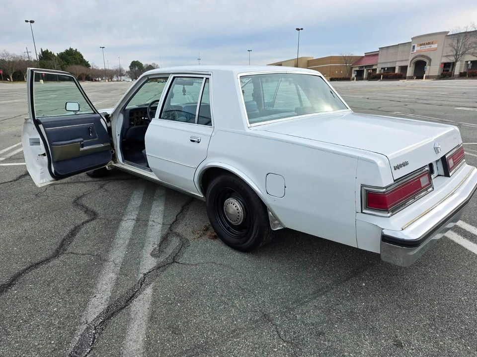 1989 Dodge Diplomat - Image 19 of 21