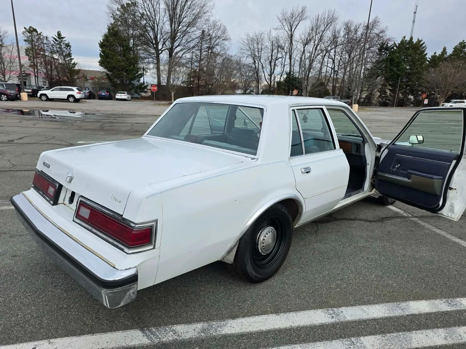 1989 Dodge Diplomat - Image 20 of 21