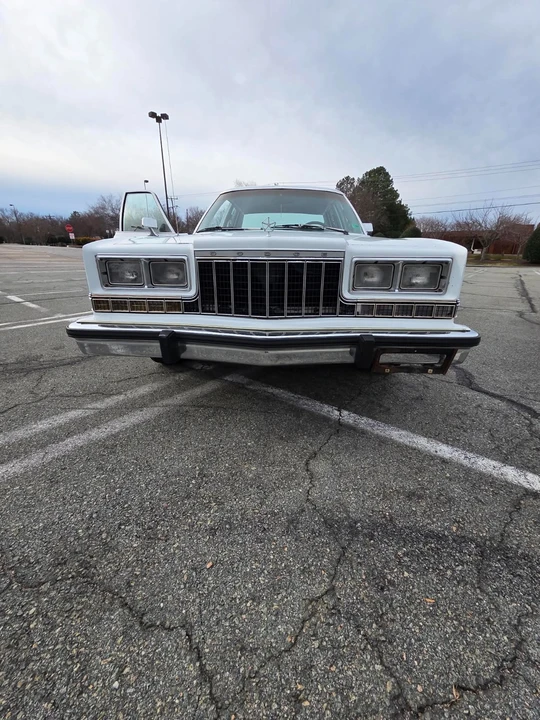 1989 Dodge Diplomat - Image 16 of 21
