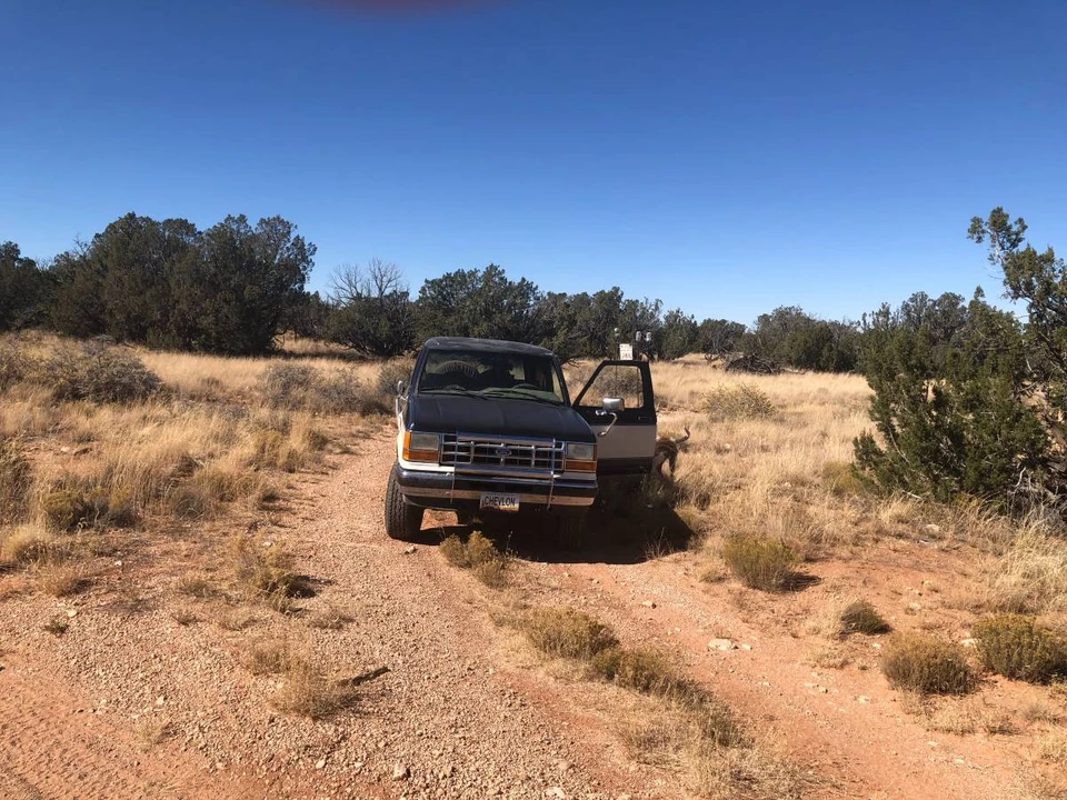 1989 Ford Bronco II - Image 2 of 5
