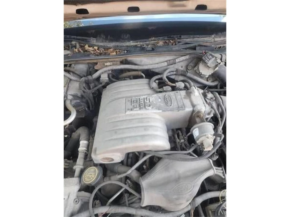1989 Ford LTD - Image 3 of 14