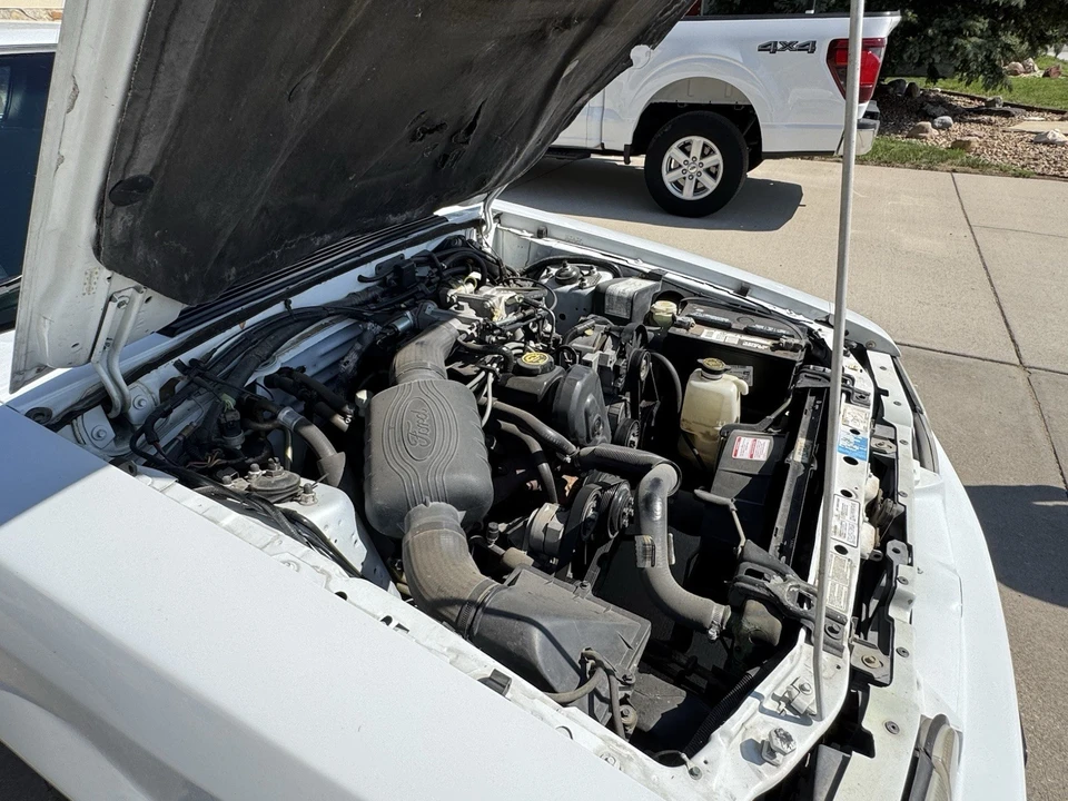 1989 Ford Mustang 3rd Gen - Image 21 of 21