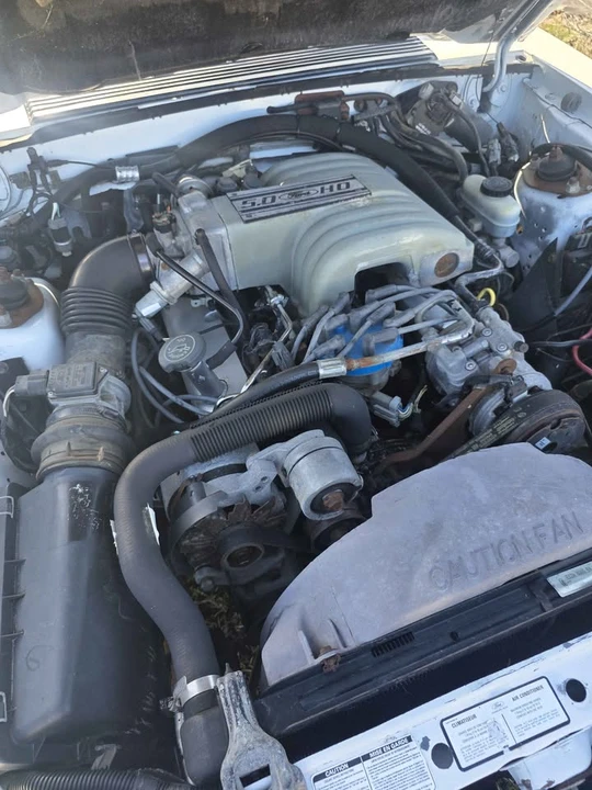 1989 Ford Mustang GT 3rd Gen - Image 11 of 13
