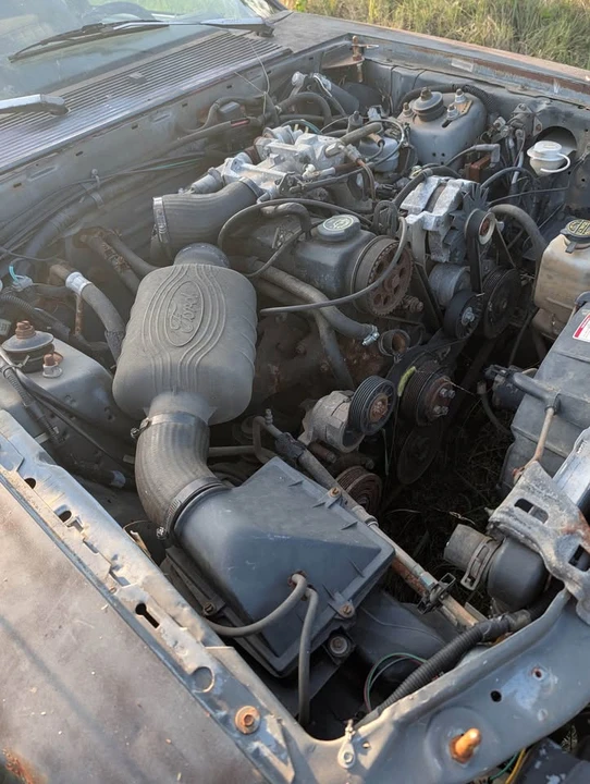 1989 Ford Mustang 3rd Gen - Image 6 of 6