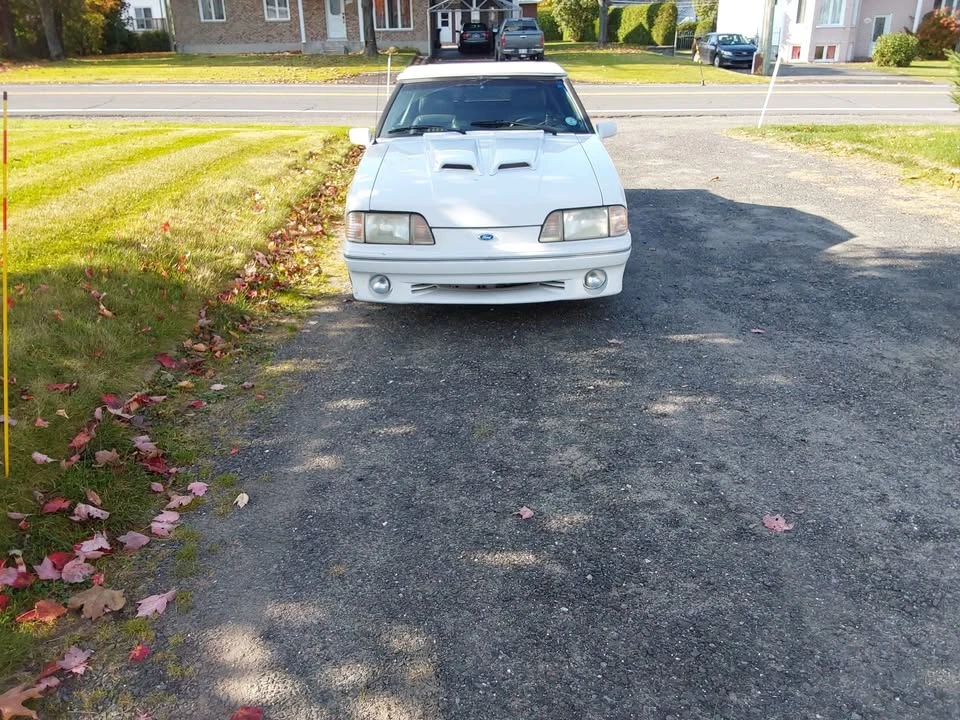 1989 Ford Mustang 3rd Gen - Image 7 of 7