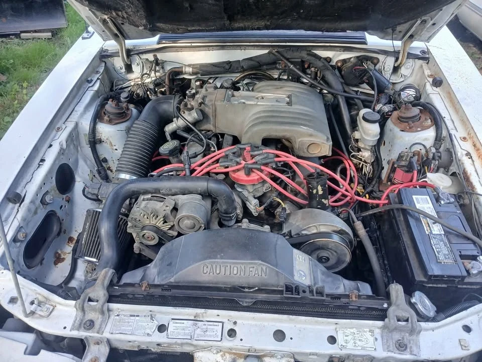 1989 Ford Mustang GT 3rd Gen - Image 7 of 8