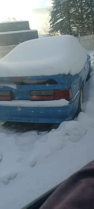 1989 Ford Mustang GT 3rd Gen - Image 14 of 15
