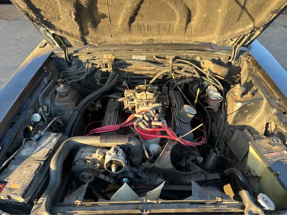 1989 Ford Mustang 3rd Gen - Image 14 of 16