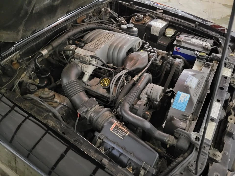 1989 Ford Mustang GT 3rd Gen - Image 17 of 18