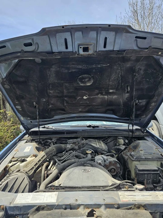 1989 Ford Thunderbird 9th Gen - Image 8 of 8