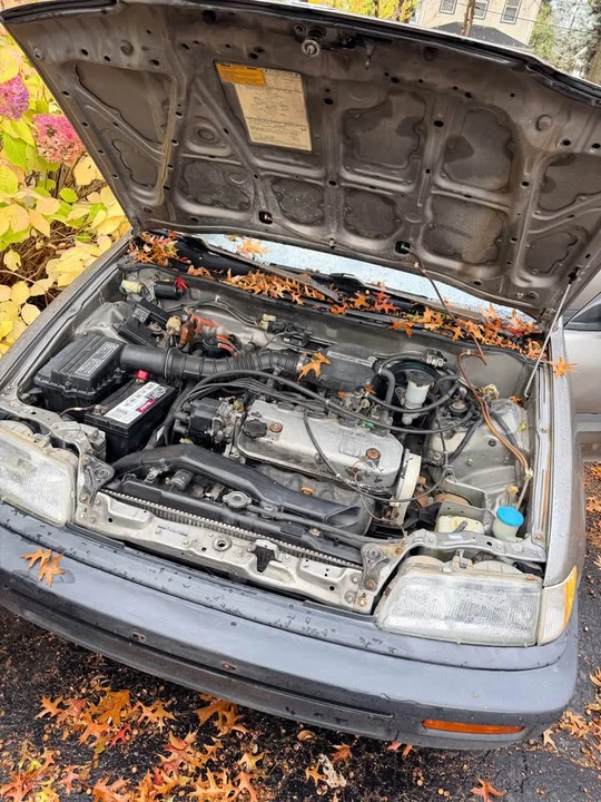 1989 Honda Civic 4th Gen - Image 14 of 18