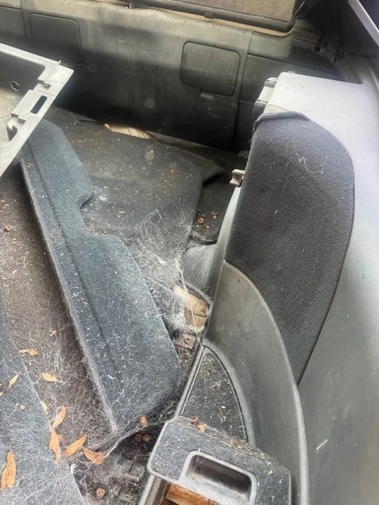 1989 Honda CR-X 2nd Gen - Image 6 of 7