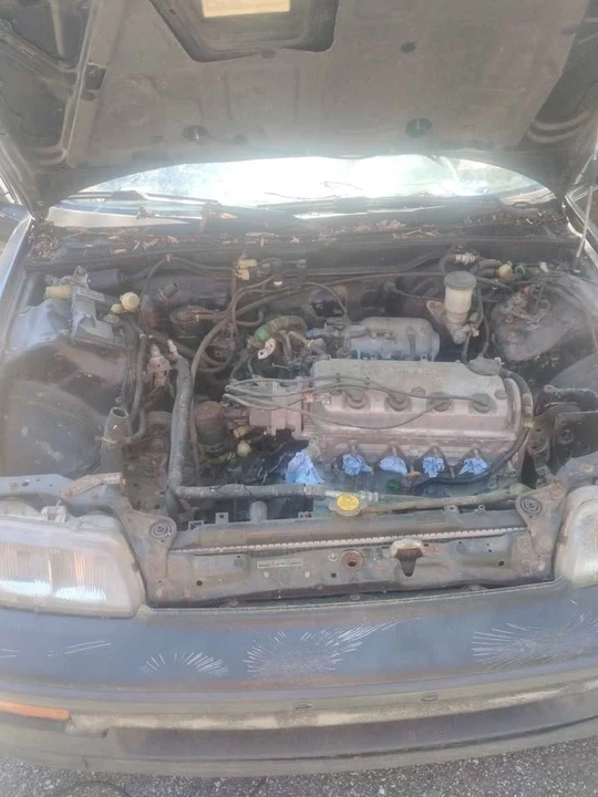 1989 Honda CR-X 2nd Gen - Image 19 of 20