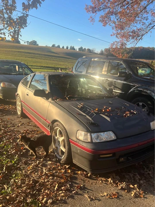 1989 Honda CR-X 2nd Gen - Image 2 of 8