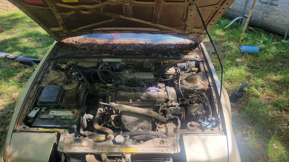 1989 Honda Prelude 3rd Gen - Image 6 of 9